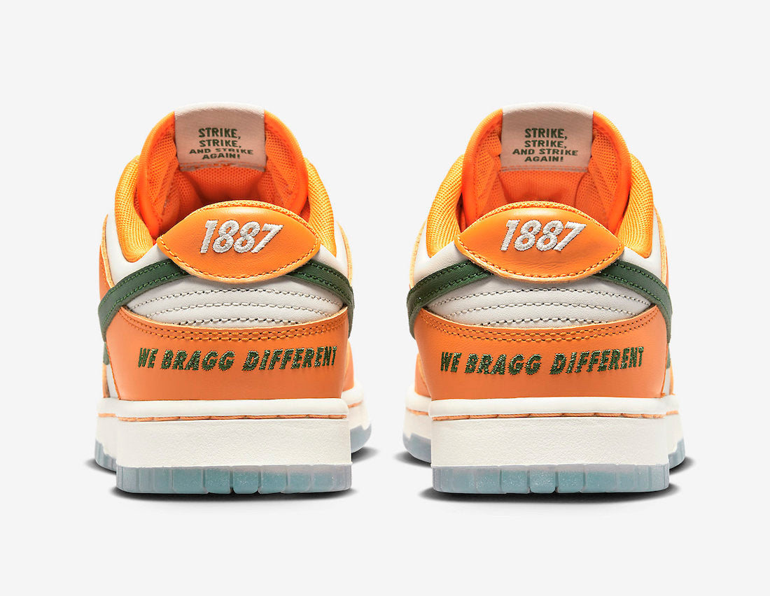 Nike Dunk Low x FAMU