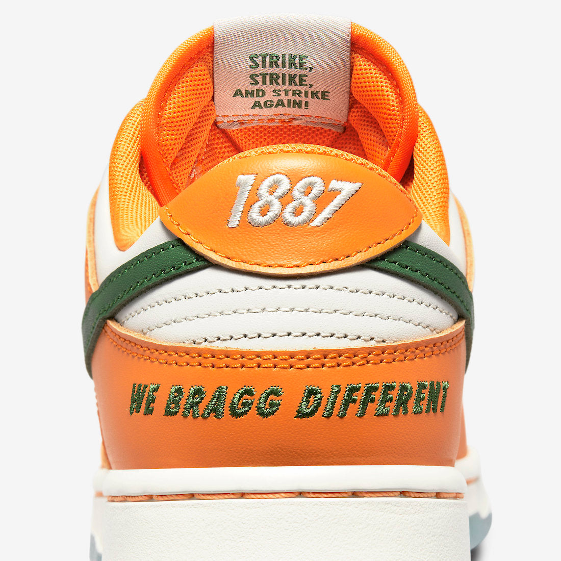 Nike Dunk Low x FAMU