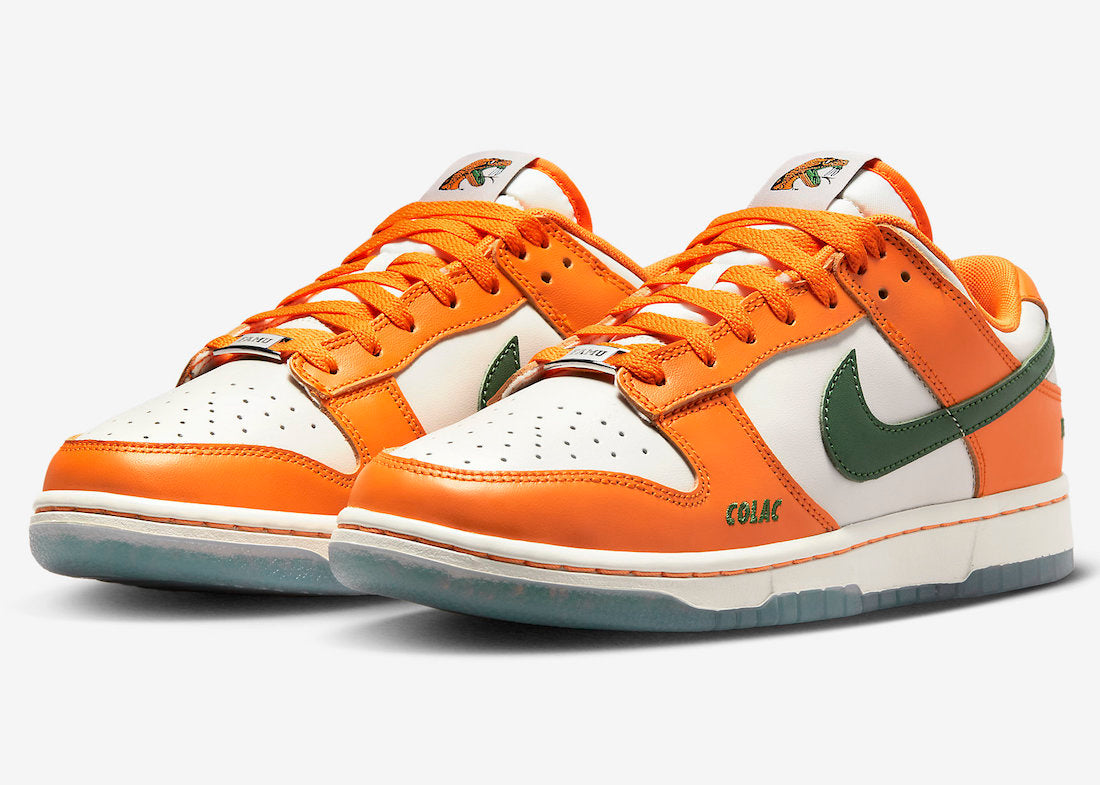 Nike Dunk Low x FAMU