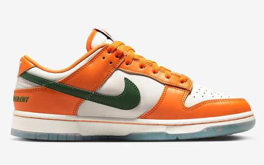 Nike Dunk Low x FAMU